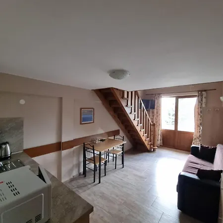 公寓 Veselina Loft *