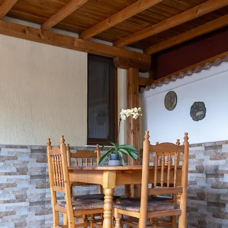Veselina Loft *