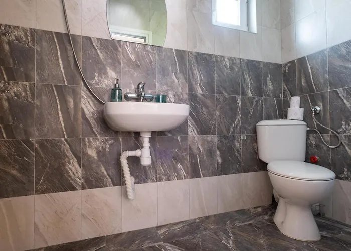 Veselina Loft Hisarya